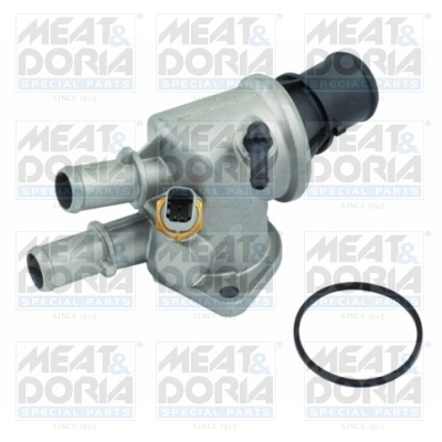 Thermostat, coolant